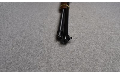 Henry ~ "Golden Boy" ~ 17 HMR - Image 11 of 11