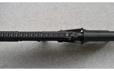 Springfield Armory ~ Hellion ~ 5.56 Nato - Image 9 of 11