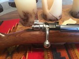 Argentine Model 1909 Mountain Carbine - 7 of 14