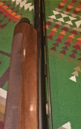 A Very NiceUnique 12 ga. custom orderedBeretta A303 66 with 24" tubes Engliish Stock with chokes - 4 of 7