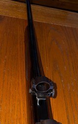 Sako Finnwolf Mode VL63 243 Winchester - 12 of 15