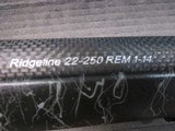 Christensen Arms Ridgeline .22-250 New in box Black/gray 24" - 8 of 11