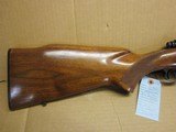 Winchester Model 70 Pre-64 .243 win cal.
Std weight rifle - 2 of 15