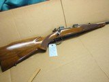 Winchester Model 70 Pre-64 .243 win cal.
Std weight rifle - 1 of 15
