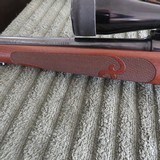 Winchester M70 XTR Featherweight 7X57 Mauser - 8 of 10