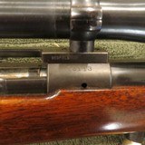 Winchester Mod 70 Pre 64 257 Roberts Circa 1945 - 8 of 13