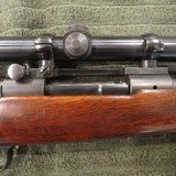 Winchester Mod 70 Pre 64 257 Roberts Circa 1945 - 7 of 13