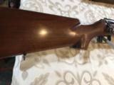 Winchester 52 "Bull Gun" Target Rifle 1 1/8" barrel special - 15 of 15
