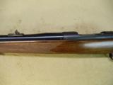 Winchester Model 70 Pre-64 .375 H&H Magnum - 8 of 13