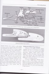 BRITTE 12 Gauge Barreled Action - 8 of 15