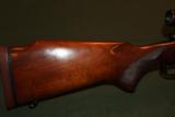 Winchester Model 70 Standard Grade - 2 of 7