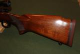 Winchester Model 70 Standard Grade - 6 of 7