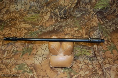 Ruger 10/22 Barrel