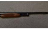 Winchester Engraved 12 Gauge - 6 of 8