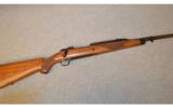 Ruger Magnum .458 Lott - 1 of 8