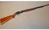 Winchester 61 .22 Short, Long, & LR - 1 of 8