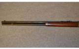 Winchester 1894 .25-35 WCF - 8 of 8