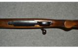 Winchester Model 70, Pre-1964 ~ .375 H&H - 5 of 9