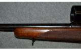 Winchester Model 70, Pre-1964 ~ .22 Hornet - 8 of 9