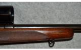 Winchester Model 70, Pre-1964 ~ .22 Hornet - 4 of 9