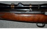 Winchester Model 70, Pre-1964 ~ .22 Hornet - 7 of 9