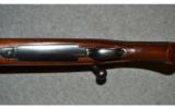 Winchester Model 70, Pre-1964 ~ .22 Hornet - 5 of 9