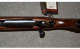 Winchester 70 Classic Featherweight ~ .300 WSM - 5 of 9