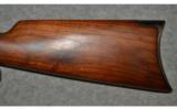 Winchester ~ 1895 ~ .30 Army - 6 of 9