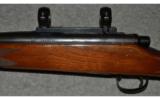 Remington 700 ~ .243 Win - 7 of 9