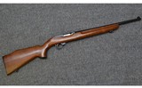 Ruger~10/22~22 LR - 1 of 1