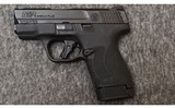 Smith & Wesson~M&P9 Shield Plus~9 mm - 1 of 4