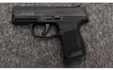 SIG Sauer~P365~380 ACP - 1 of 1