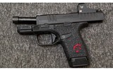 Springfield Armory~Hellcat~9 mm - 3 of 4