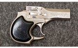 High Standard~Derringer~22 Magnum - 1 of 3