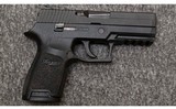 SIG Sauer~P250~45 Auto - 2 of 4