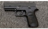 SIG Sauer~P250~45 Auto - 1 of 4