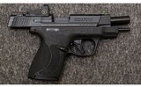 Smith & Wesson~M&P 9 Shield Plus~9 mm - 4 of 4
