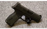 SIG Sauer~P365~9 mm - 1 of 4