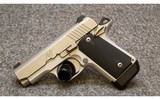 Kimber~Micro 9~9 mm - 1 of 3