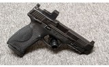 Smith & Wesson~M&P 10~10 mm - 1 of 2