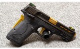 Smith & Wesson~M&P 380 Shield EZ~380 Auto - 2 of 2