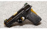 Smith & Wesson~M&P 380 Shield EZ~380 Auto