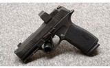 SIG Sauer~P365~9 mm - 1 of 2