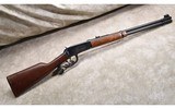 Winchester ~ 94 ~ 30-30 Winchester - 1 of 11