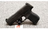 SIG Sauer~P365~9 mm - 1 of 2