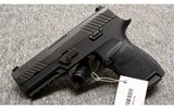 SIG Sauer~P320~9 mm - 1 of 2