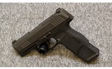 SIG Sauer~P365~9 mm - 1 of 2