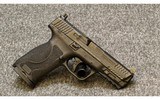 Smith & Wesson~M&P9~9 mm