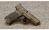 Smith & Wesson~M&P10~10 mm - 2 of 2