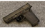 Smith & Wesson~M&P 9 Shield EZ~9 mm